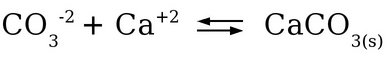 Reação de formação da Calcita