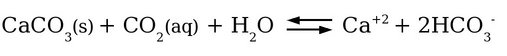 Aumento da solubilidade do Carbonato de Cálcio pela dissolução do CO2.