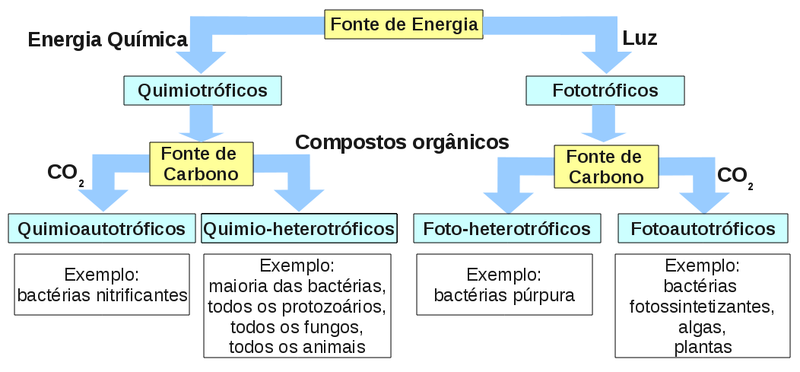 Classificação nutricional dos organismos quanto às fontes de energia e fontes de carbono para os processos metabólicos. (Fonte: Tortora, Funke & Case)