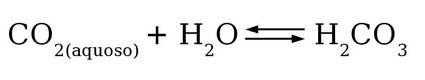 Formação do Ácido Carbônico