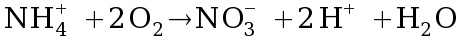 Reação de oxidação da amônea a nitrato.