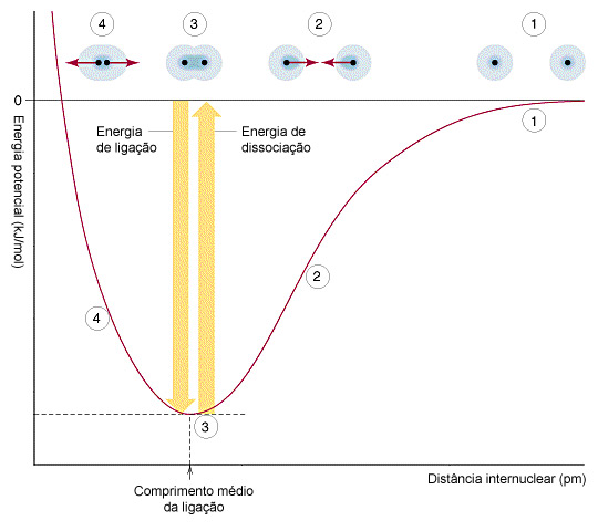 Curva de energia potencial da ligação de uma molécula diatômica em função da distância internuclear. (Fonte: www.fisicaequimica.net)