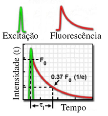 Perfil de decaimento monoexponencial da fluorescência. (Fonte: www.olympusmicro.com