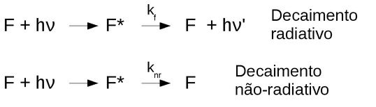 Decaimento radiativo e não-radiativo. (kf é a constante de velocidade de fluorescência e knr representa o somatório das constantes de velocidade de todos os demais processos de desativação não-radiativos)