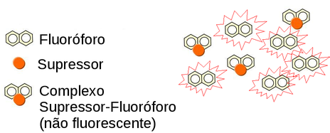 Na supressão estática apenas os fluoróforos complexados deixam de fluorescer. (Fonte: www.physics.umn.edu)