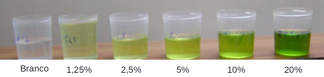 Soluções contendo 20%, 10%, 5%, 2,5%, 1,25% e 0 do extrato bruto de espinafre (100%).