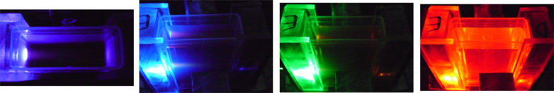 Fotos das leituras do extrato bruto concentrado (100%) com os LEDs UV, Azul, Verde e Vermelho.