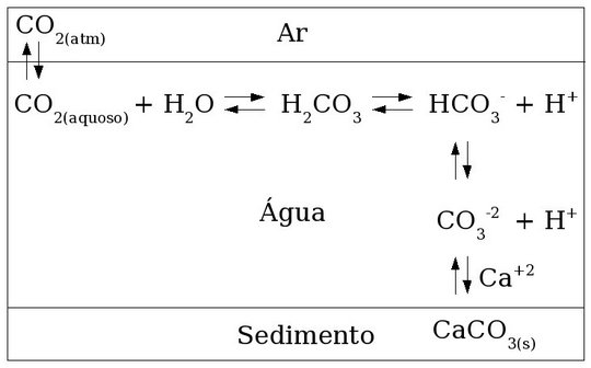 Equilíbrios envolvidos na dissolução de CO2