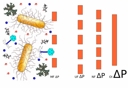 Principais processos de separação por membranas: Microfiltração (MF), Ultrafiltração (UF), Nanofiltração (NF) e Osmose Inversa (OI).