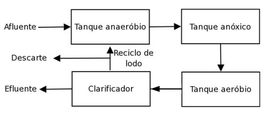 Esquema simplificado de um sistema para remoção biológica de fósforo.