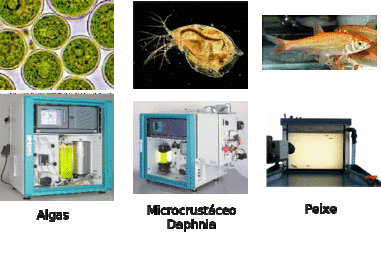 Exemplos de toxímetros produzidos pela empresa BBE para diferentes organismos (algas, microcrustáceos e peixes).